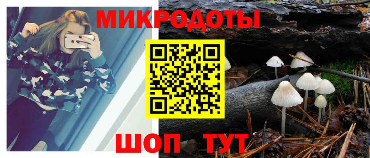 Галлюциногенные грибы MAGIC MUSHROOMS  Вход с VPN  Реж  Галлюциногенные грибы GOLDEN TEACHER 